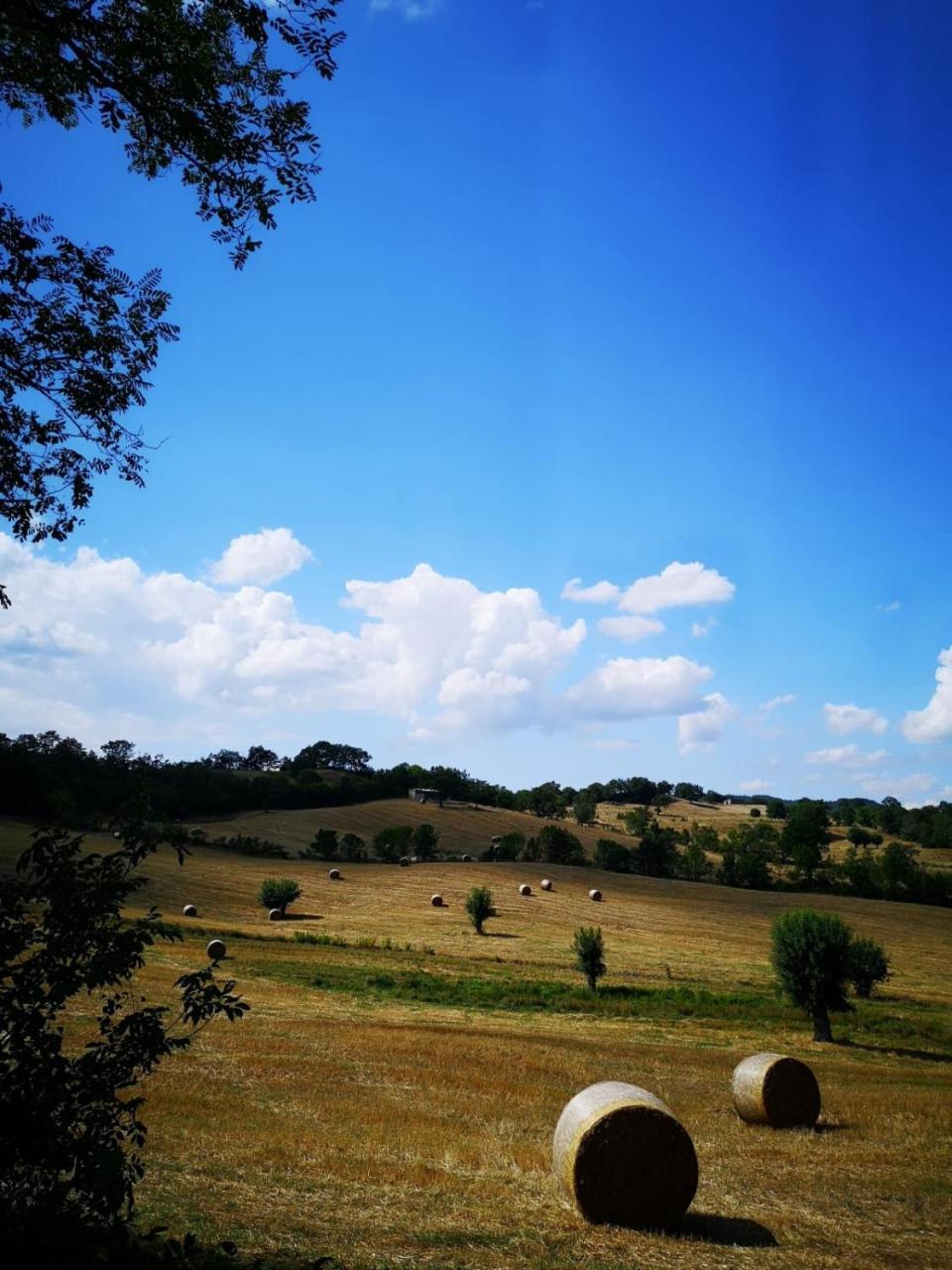 La Biocca * Poggio Murella
