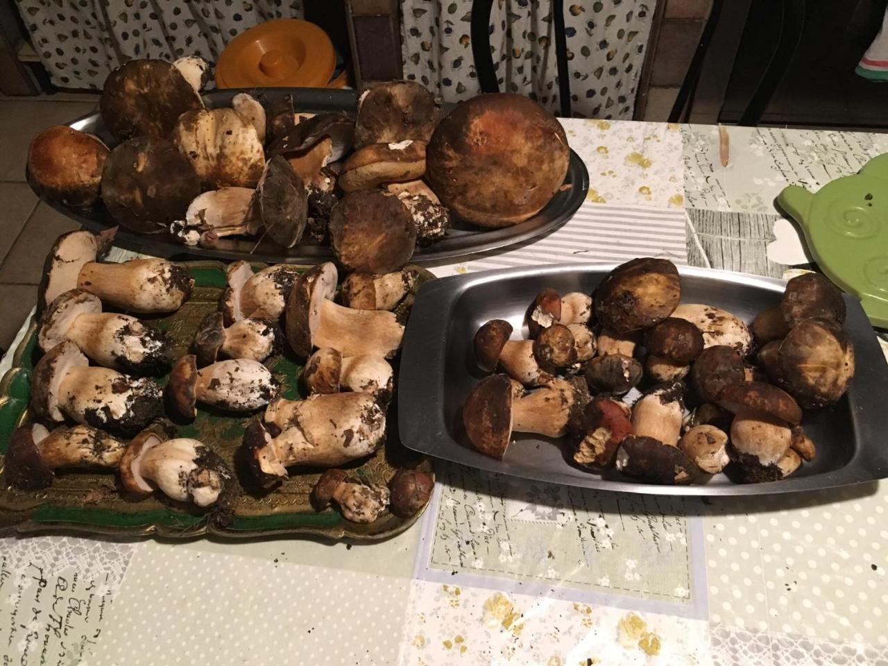 La Biocca Alojamento de Acomodação e Pequeno-almoço